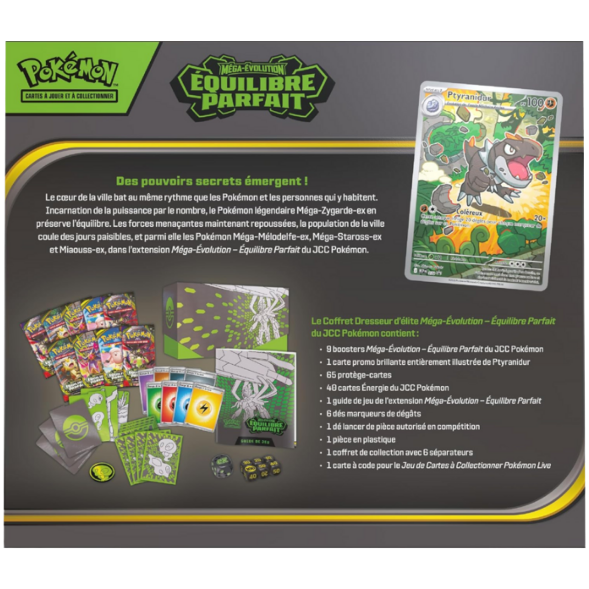 ETB - Équilibre Parfait / Méga-Zygarde — Verso