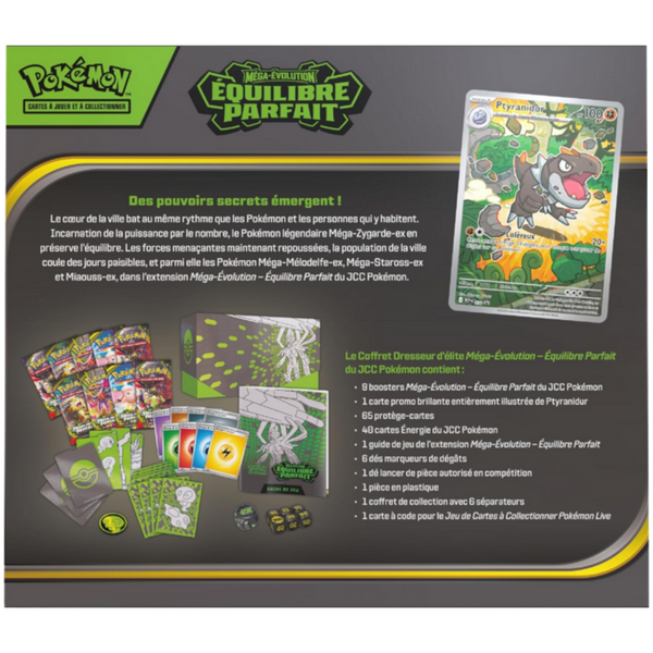 ETB - Équilibre Parfait / Méga-Zygarde — Verso