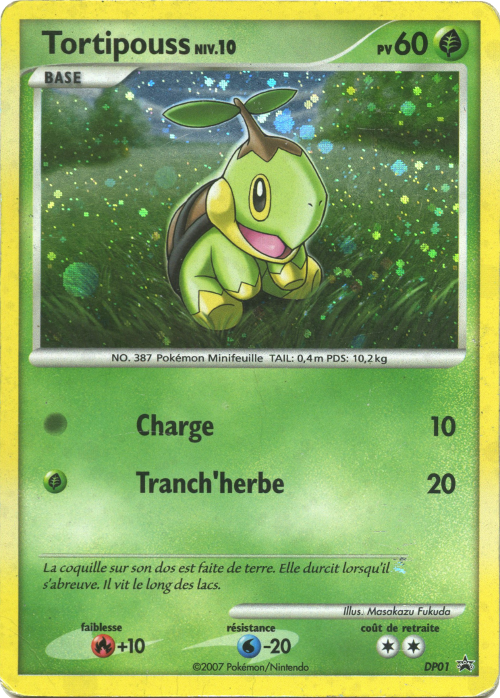 Tortipouss DP01 - Promos Diamant & Perle - Carte Pokémon