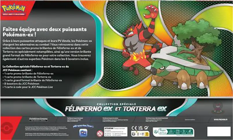 Coffret - Collection Spéciale / Félinferno-ex et Torterra-ex — Verso