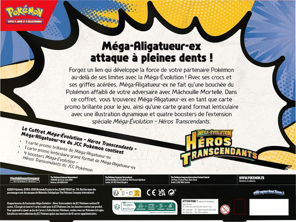 Coffret - Méga-Aligatueur-ex — Verso