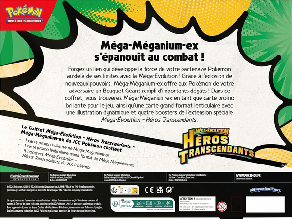 Coffret - Méga-Méganium-ex — Verso