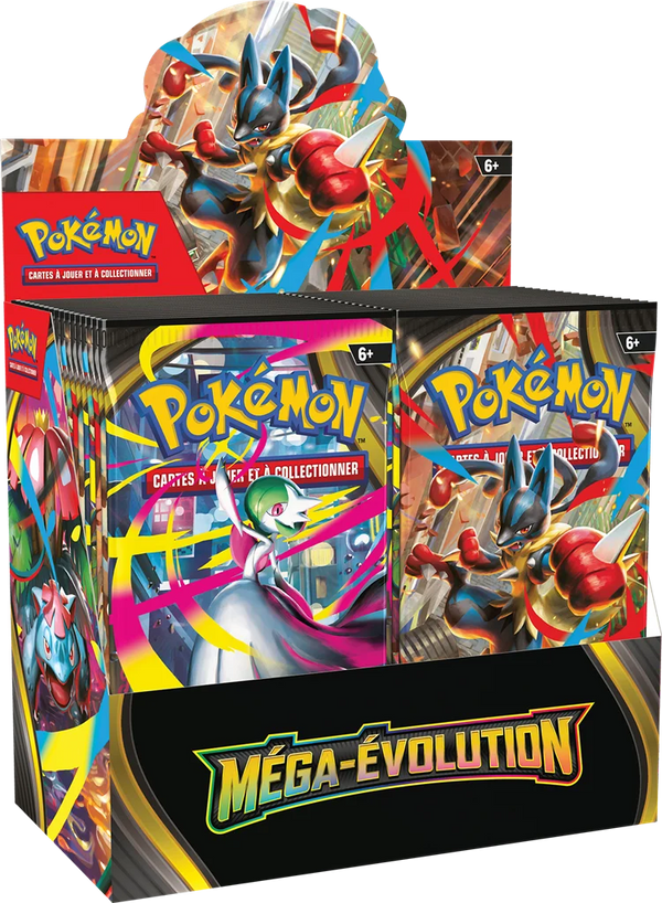 Display - Méga-Évolution — Présentoir