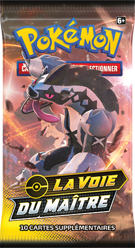 Booster Pokémon La Voie du Maître illustration Ixon, scellé français