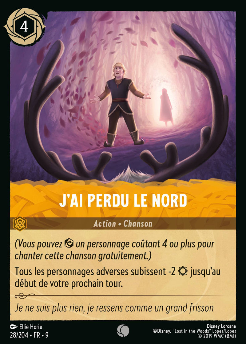 028/204 - J'ai perdu le Nord