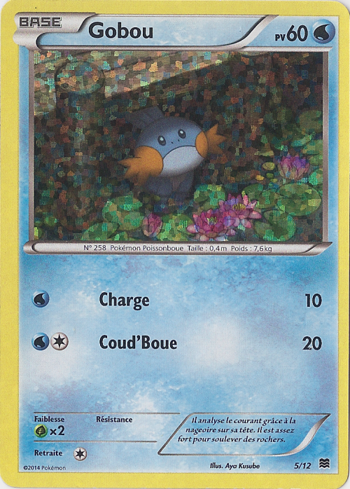 Gobou — Carte Pokémon 5 Collection McDonald's 2015
