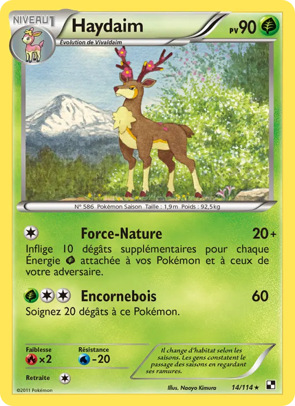Haydaim — Carte Pokémon 14 Noir & Blanc