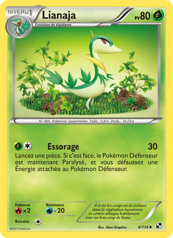 Lianaja — Carte Pokémon 4 Noir & Blanc