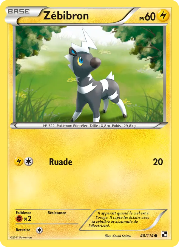 Zébibron — Carte Pokémon 40 Noir & Blanc