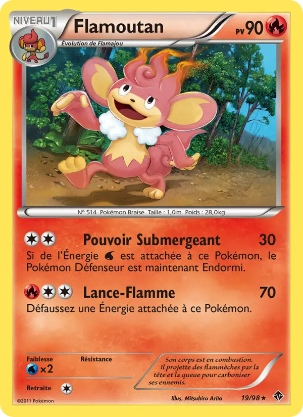 019/098 - Flamoutan