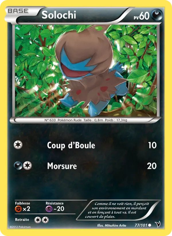 077/101 - Solochi