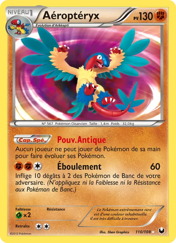 110/108 - Aéroptéryx