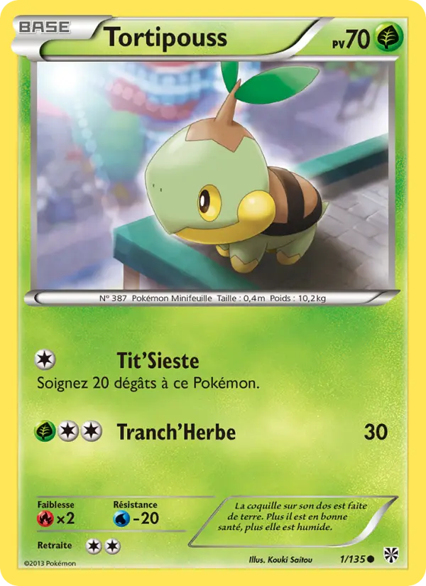 001/135 - Tortipouss — Carte Pokémon Tempète Plasma 1/135