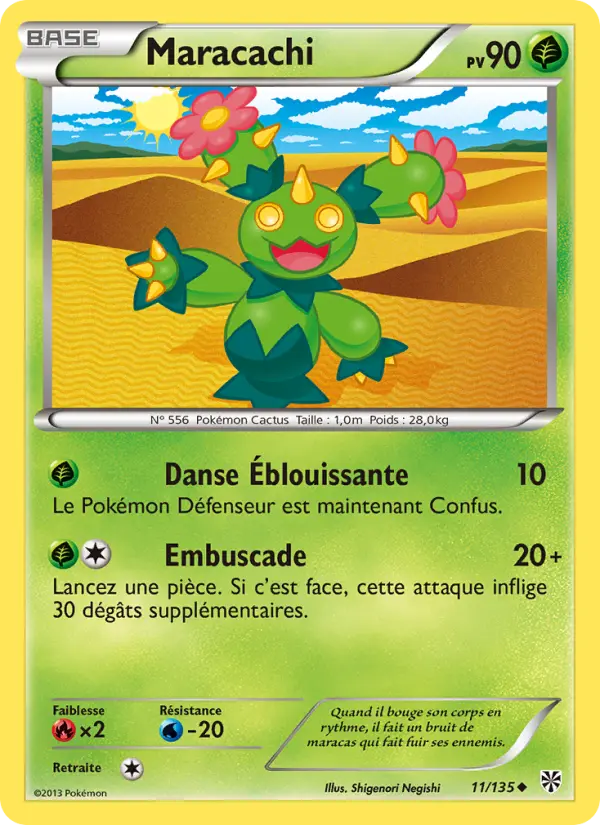 011/135 - Maracachi