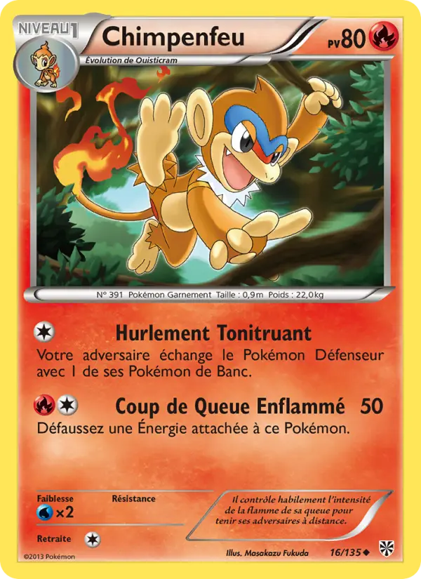 016/135 - Chimpenfeu