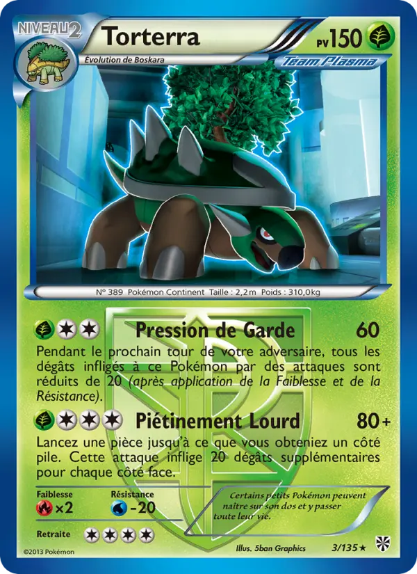003/135 - Torterra