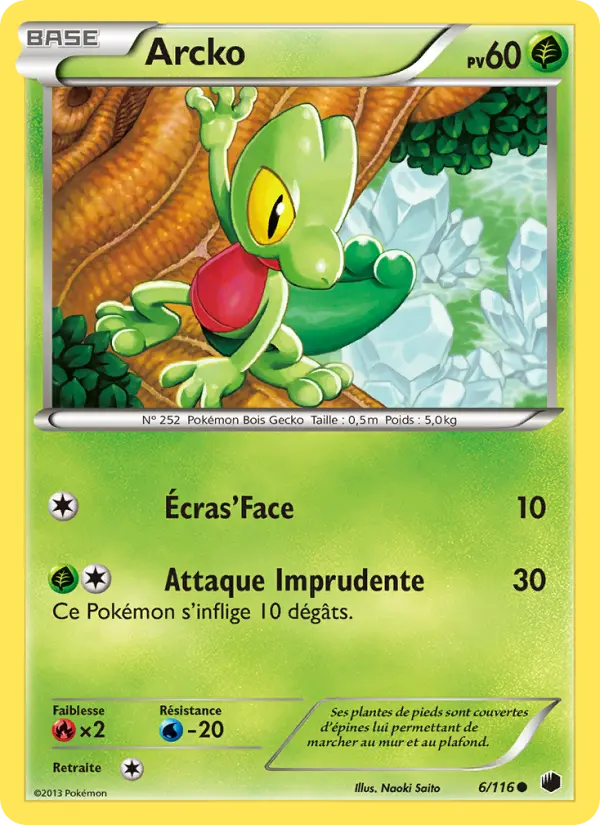 006/116 - Arcko — Carte Pokémon Glaciation Plasma 6/116