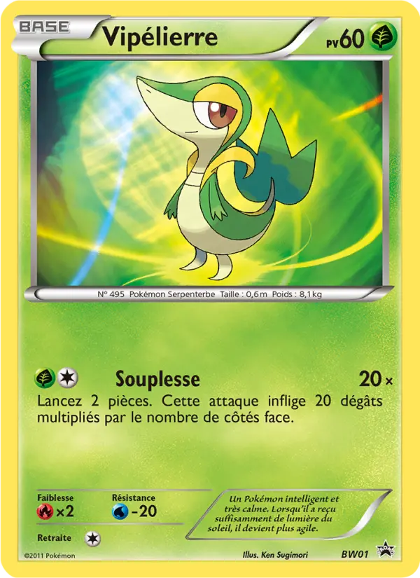 Vipélierre — Carte Pokémon BW01 Promo BW