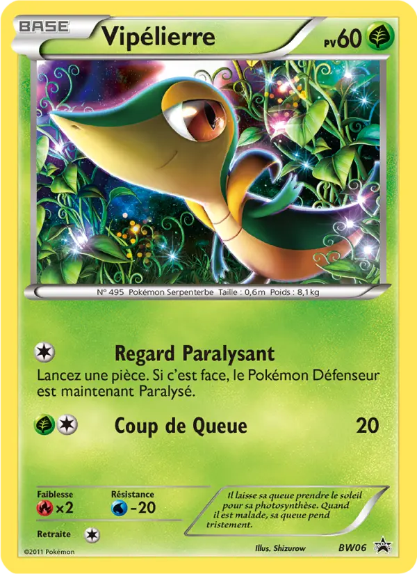 Vipélierre — Carte Pokémon BW06 Promo BW