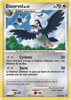 Etourvol dp1 Tempête