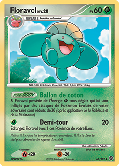 065/132 - Floravol