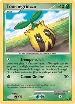 Tournegrin dp3 Tempête
