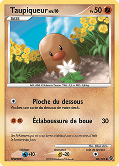Taupiqueur dp3 Tempête