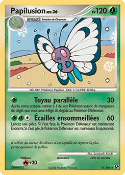 Papilusion dp4 Tempête