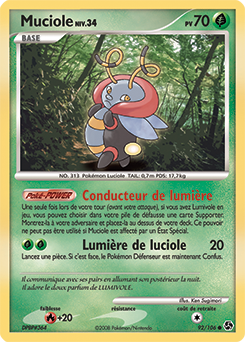 Muciole dp4 Tempête