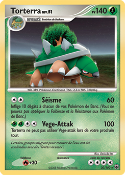 030/100 - Torterra