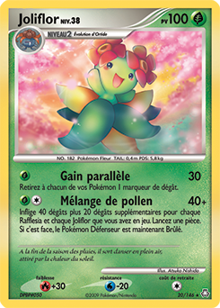 020/146 - Joliflor