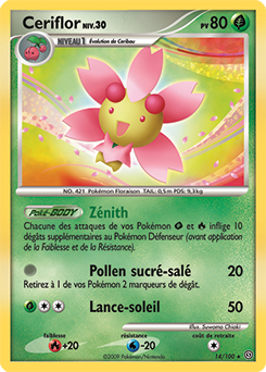 014/100 - Ceriflor