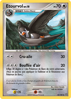 052/100 - Etourvol