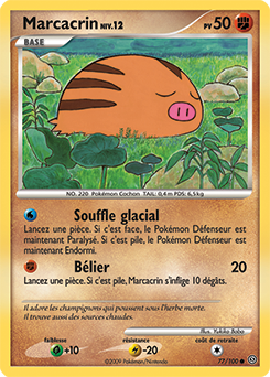 Marcacrin dp7 Tempête