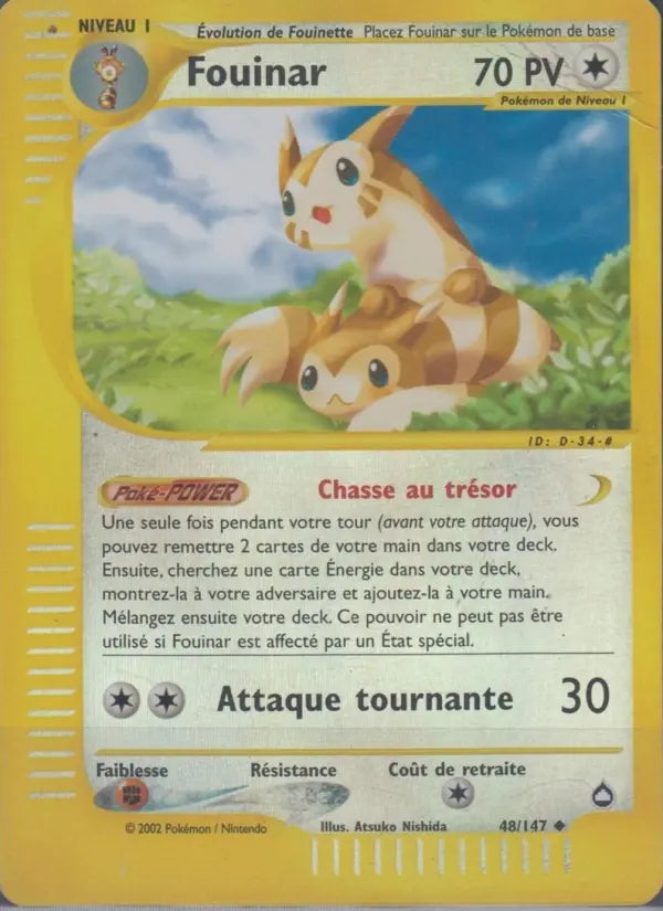 048/147 - Fouinar