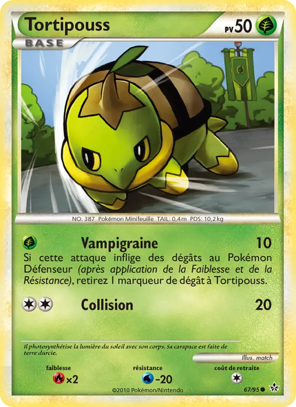067/095 - Tortipouss