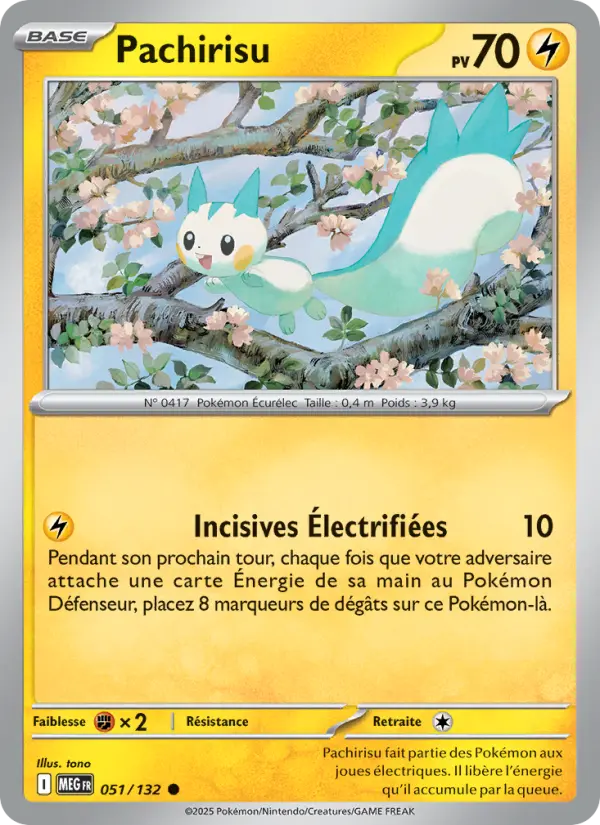 051/132 - Pachirisu — Carte Pokémon Méga-Évolution 051/132