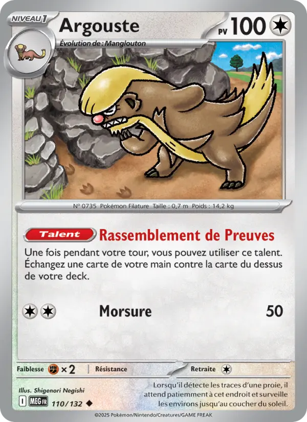 110/132 - Argouste