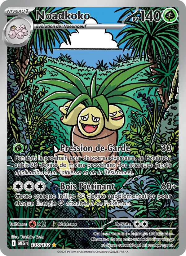 135/132 - Noadkoko
