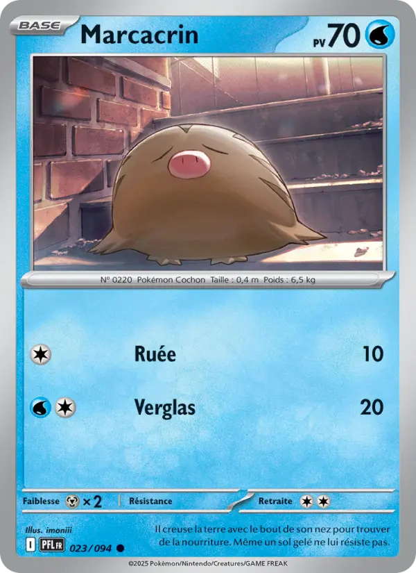 023/094 - Marcacrin — Carte Pokémon Flammes Fantasmagoriques 023/94