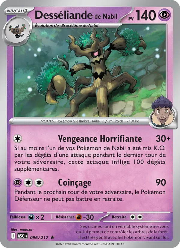 096/217 - Desséliande de Nabil — Carte Pokémon Héros Transcendants 096/217