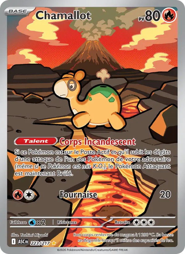 223/217 - Chamallot — Carte Pokémon Héros Transcendants 223/217