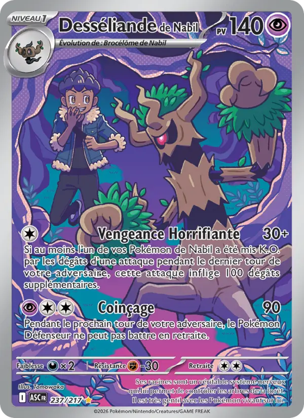 237/217 - Desséliande de Nabil — Carte Pokémon Héros Transcendants 237/217