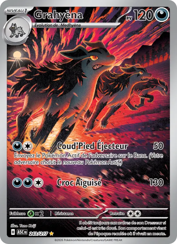 243/217 - Grahyèna — Carte Pokémon Héros Transcendants 243/217