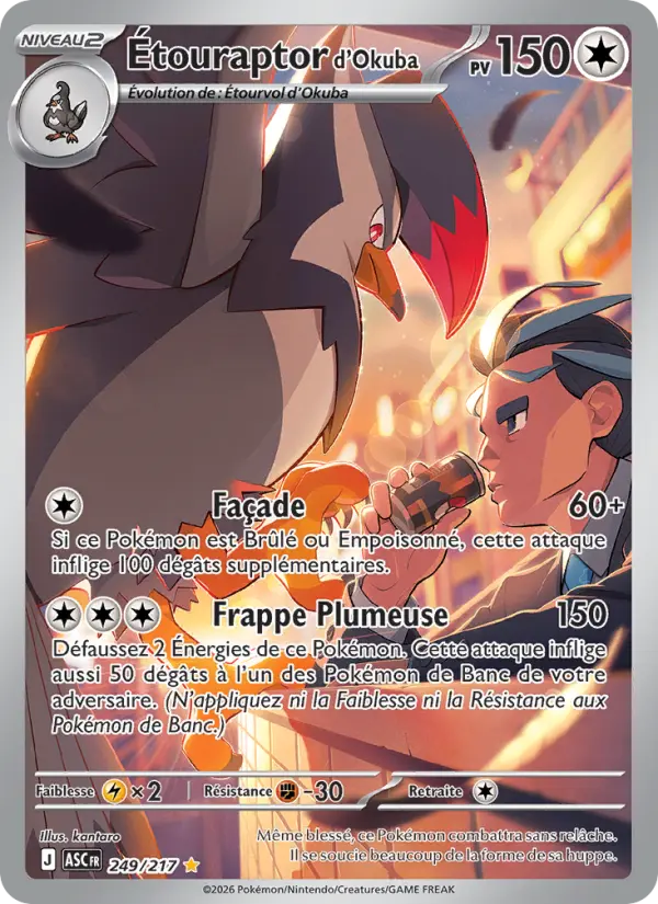 Étouraptor d'Okuba — Carte Pokémon 249 Héros Transcendants