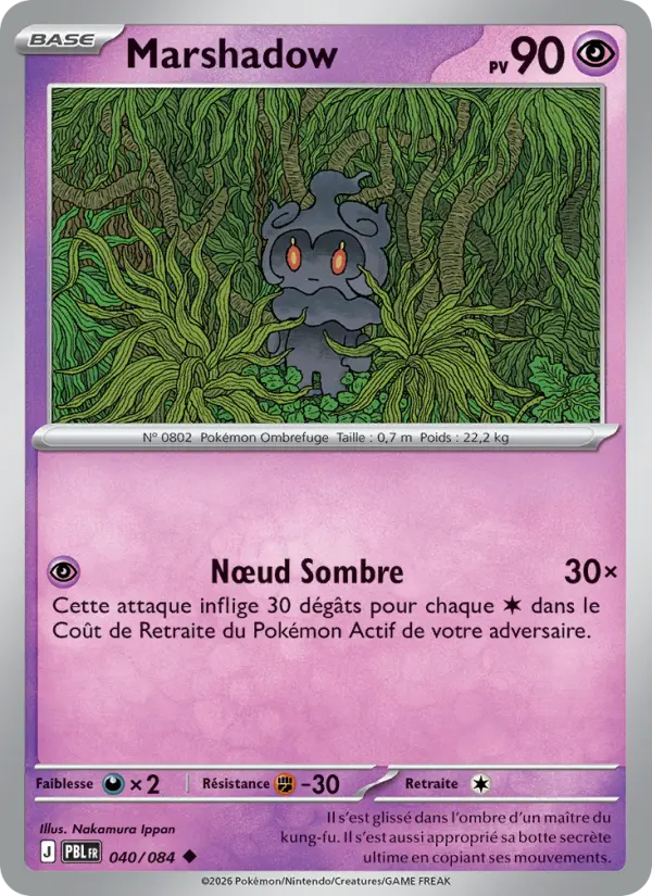 040/084 - Marshadow — Carte Pokémon Nuit Noire 040/84