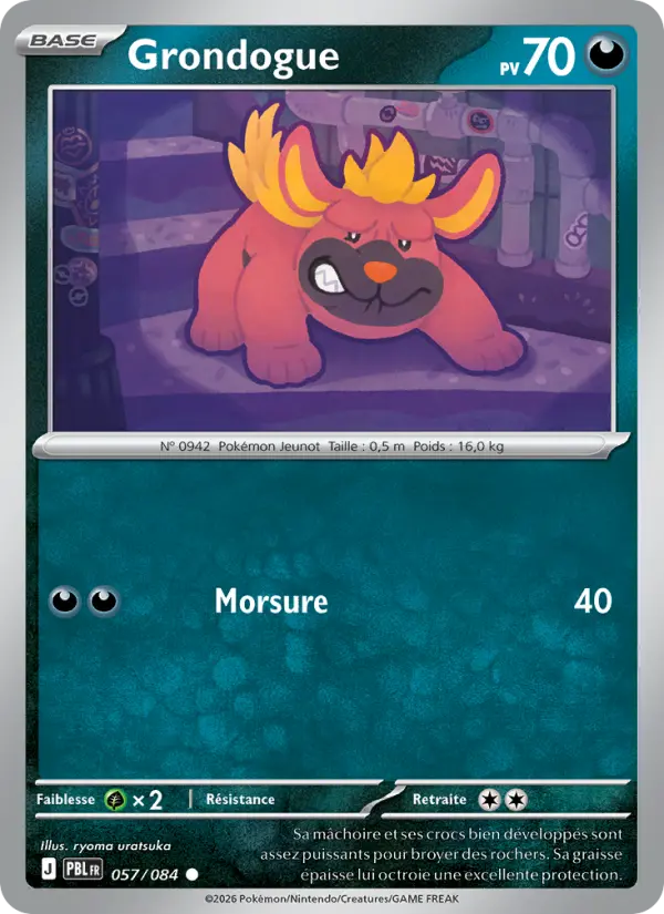 057/084 - Grondogue — Carte Pokémon Nuit Noire 057/84