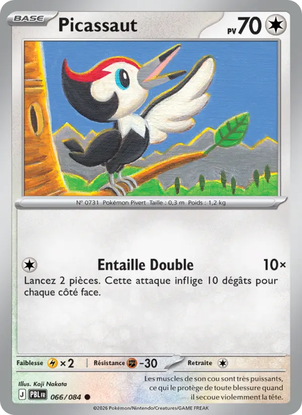 066/084 - Picassaut — Carte Pokémon Nuit Noire 066/84