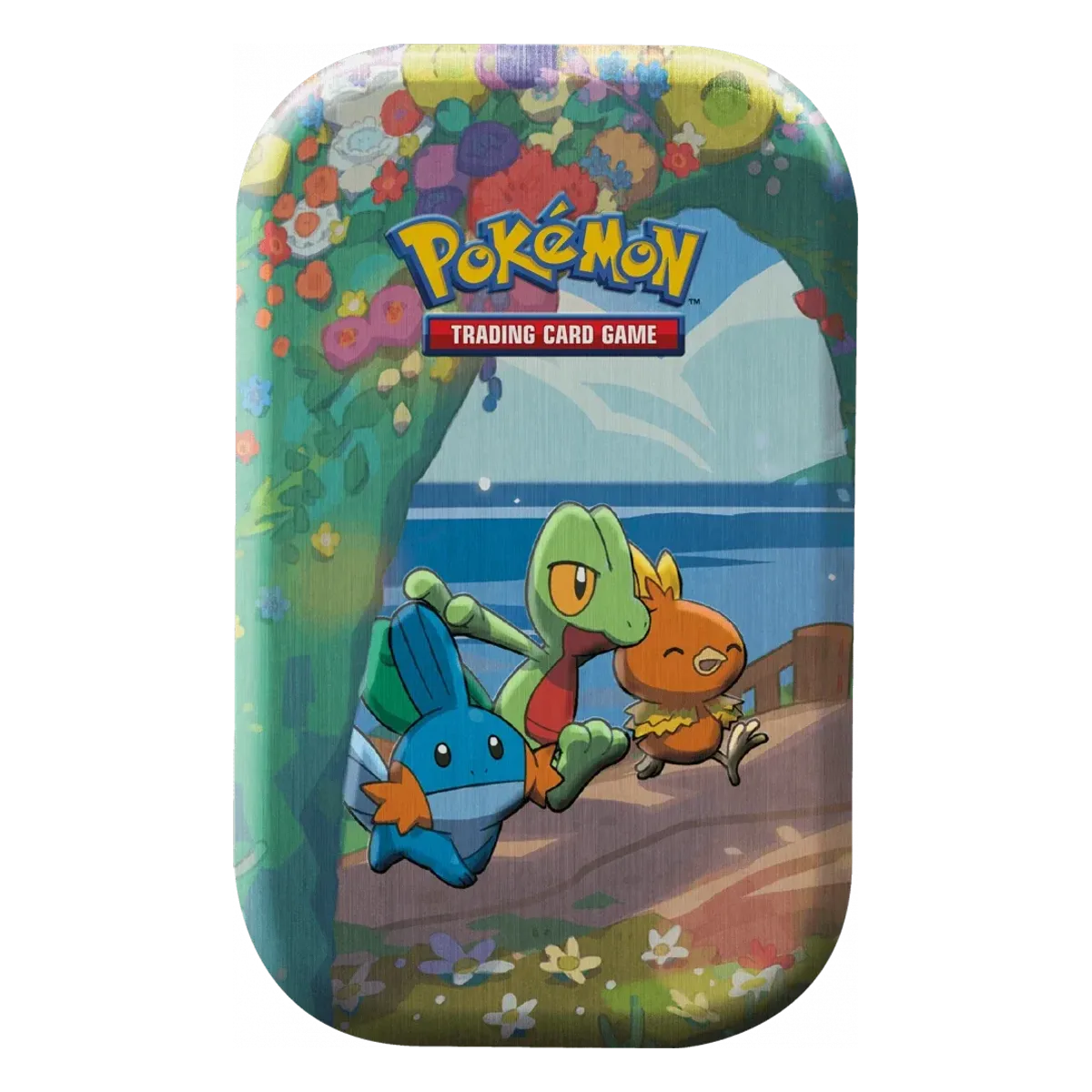 Mini-Tin - Célébrations / Hoenn