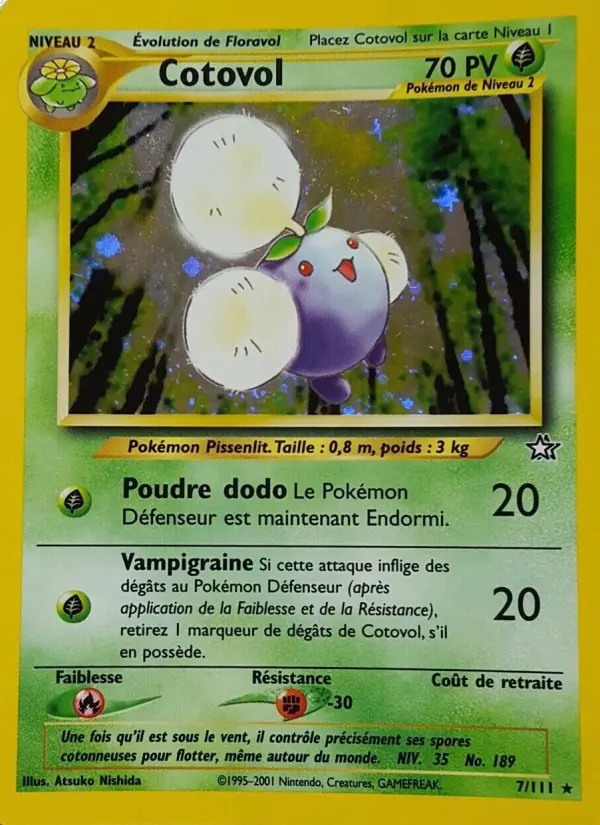 007/111 - Cotovol